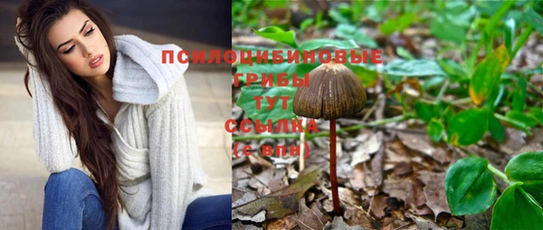 синтетический гашиш Куйбышев