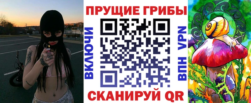 Галлюциногенные грибы Psilocybe  цены   Туран 